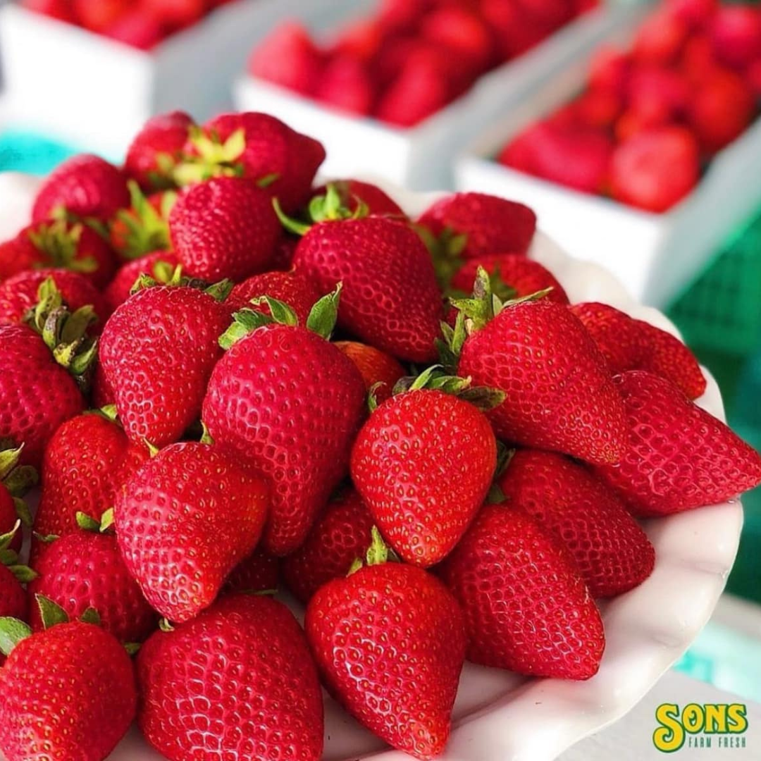 Sons Fresh Farm (Strawberries, Other Berries)