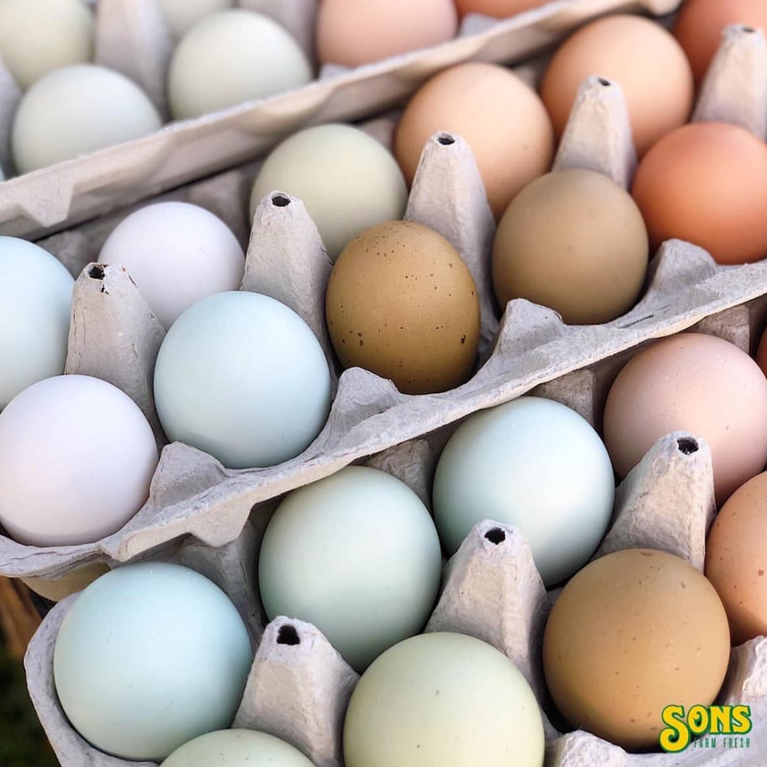 Sons Fresh Farm (eggs)